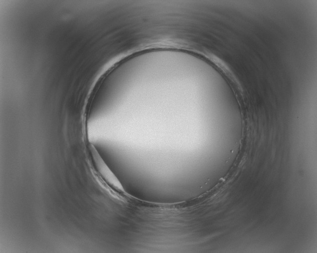 X0000080661238200701050934