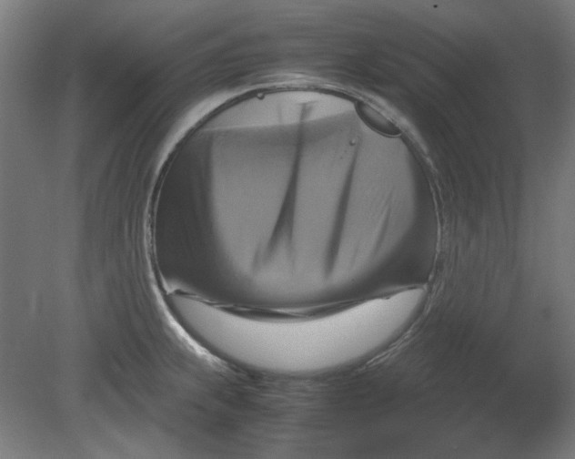 X0000080661239200701050934