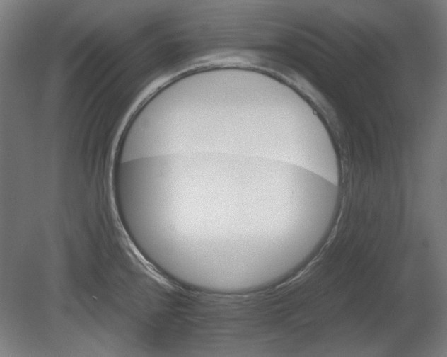 X0000080661240200701050934