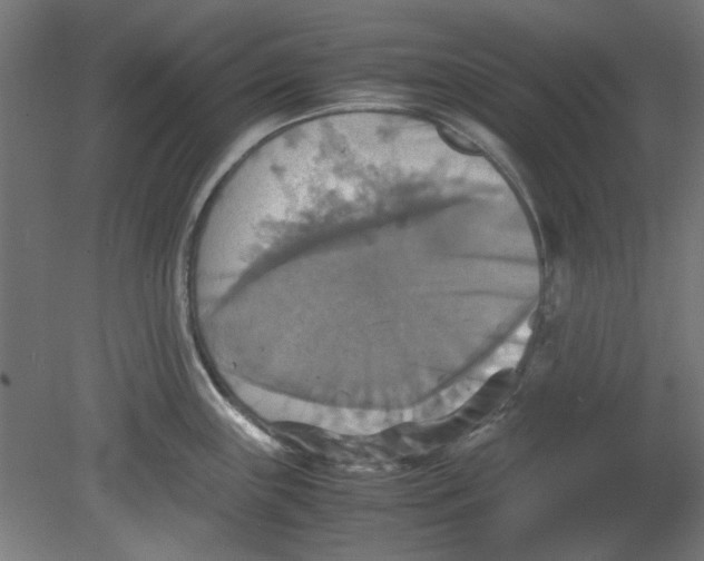 X0000080661243200701050934