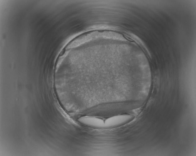 X0000080661244200701050934