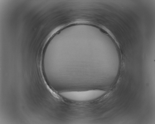 X0000080661245200701050934