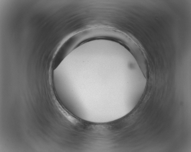 X0000080661246200701050934