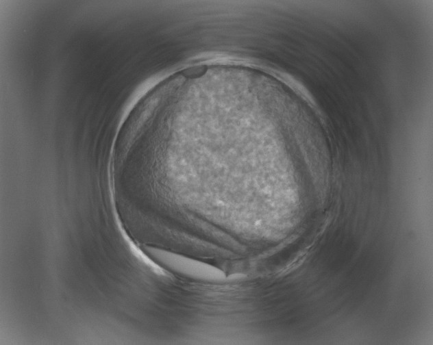 X0000080661247200701050934