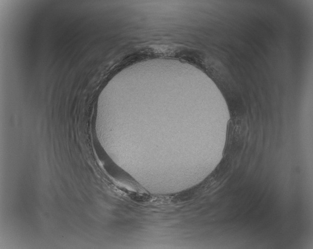 X0000080661249200701050934