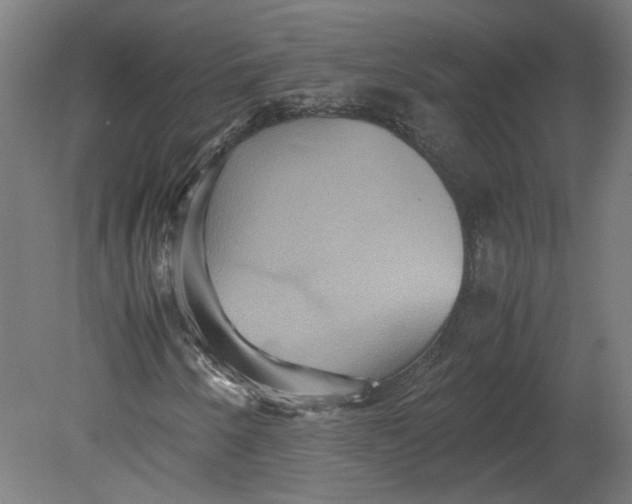 X0000080661250200701050934