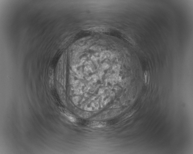 X0000080661251200701050934