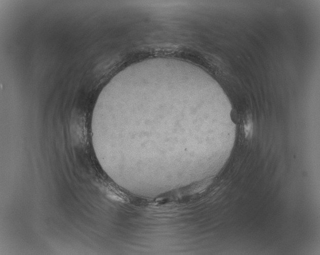 X0000080661252200701050934