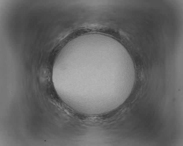 X0000080661253200701050934