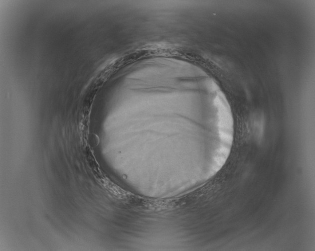 X0000080661254200701050934