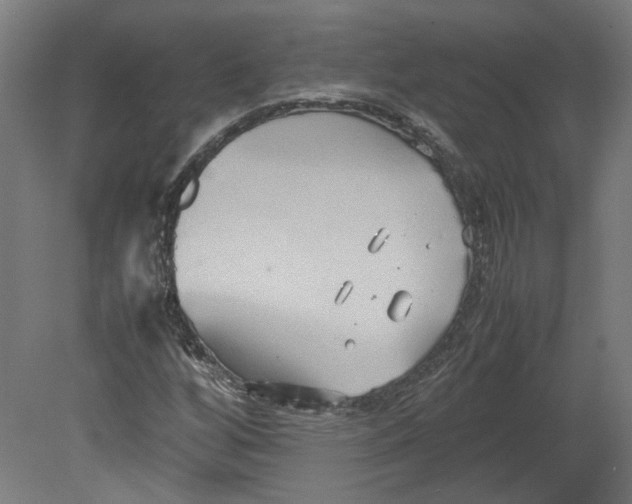 X0000080661256200701050934