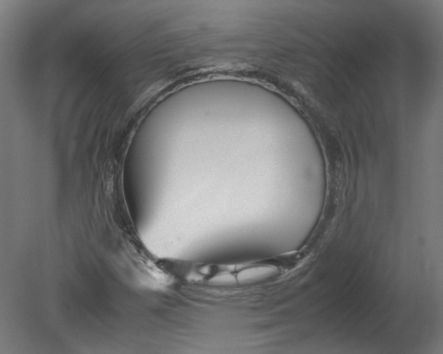 X0000080661257200701050933