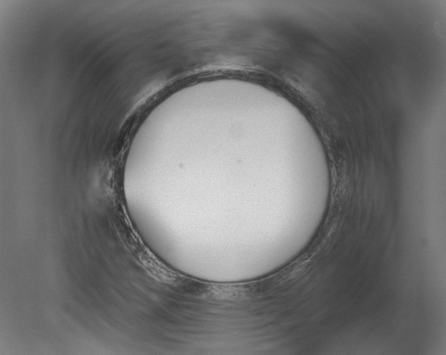 X0000080661258200701050933