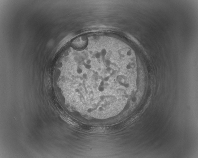 X0000080661259200701050933