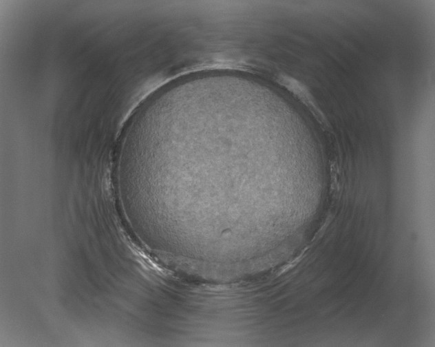 X0000080661260200701050933