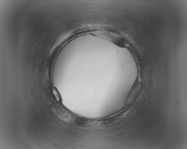 X0000080661261200701050933