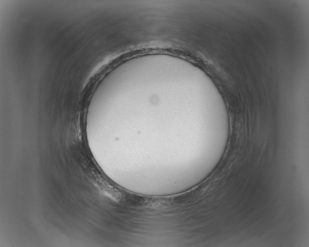 X0000080661262200701050933