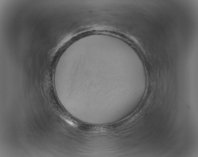 X0000080661263200701050933