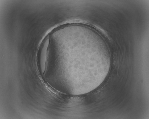 X0000080661264200701050933