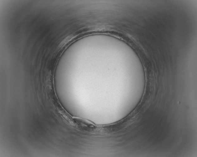 X0000080661265200701050933