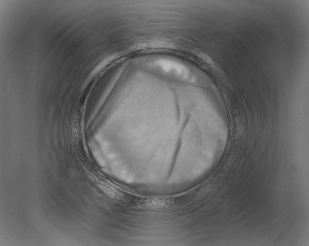 X0000080661266200701050933