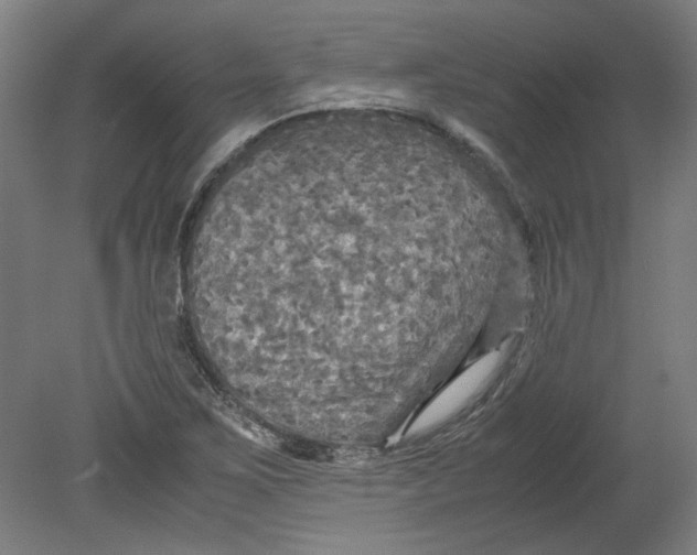 X0000080661267200701050933