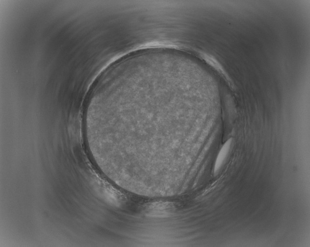 X0000080661268200701050933