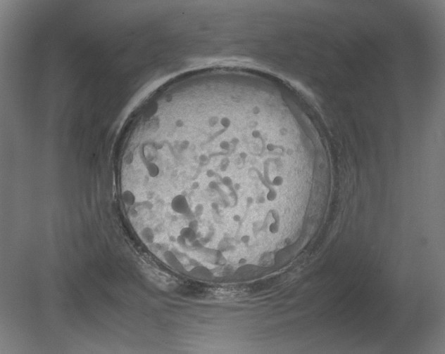 X0000080661271200701050933