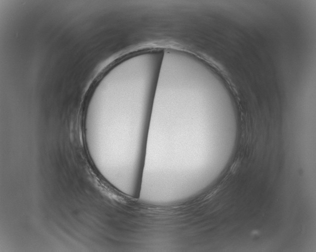 X0000080661272200701050933