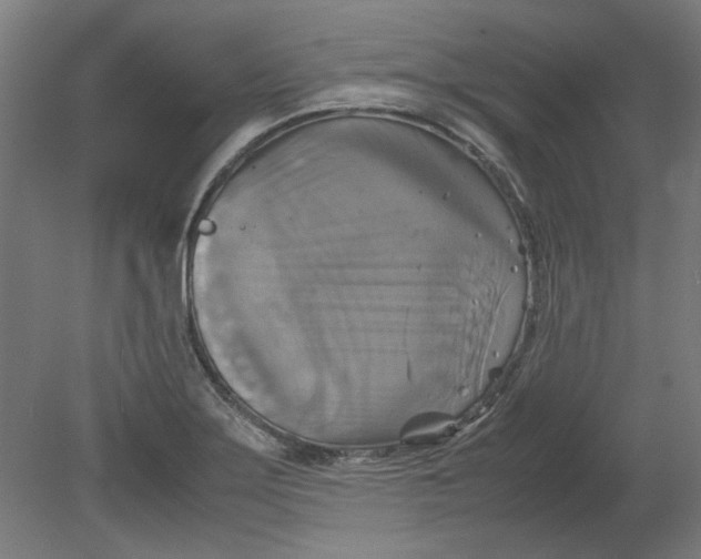 X0000080661275200701050933