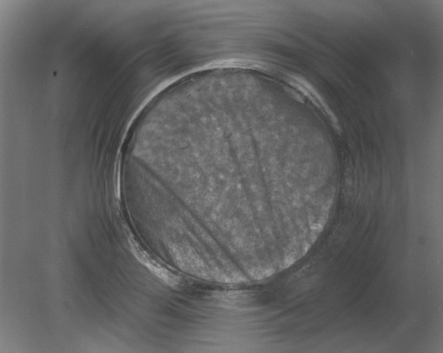 X0000080661276200701050933