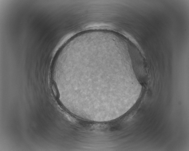 X0000080661277200701050933