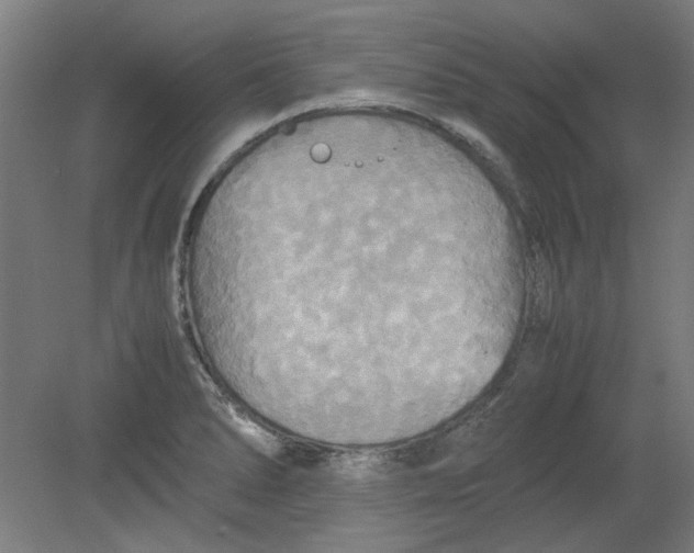 X0000080661278200701050933