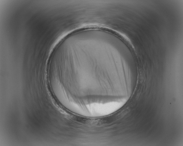 X0000080661279200701050933