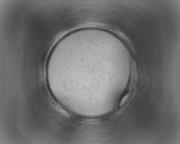 X0000080661280200701050933