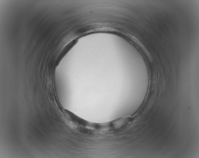 X0000080661281200701050933