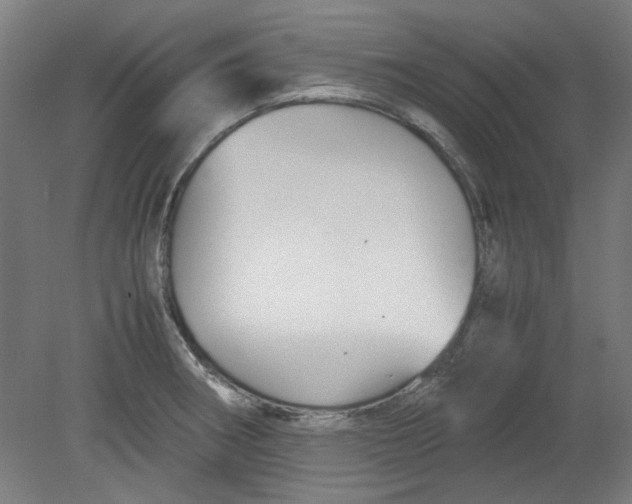 X0000080661282200701050933