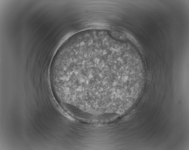 X0000080661283200701050933