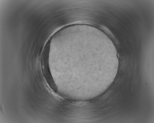 X0000080661284200701050933