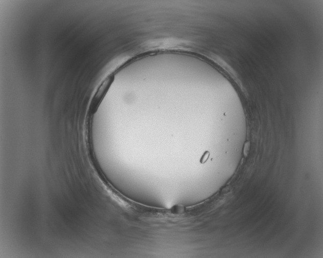 X0000080661285200701050933