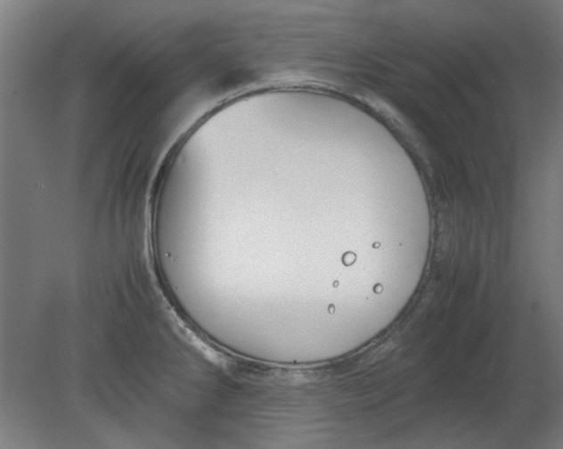 X0000080661286200701050933