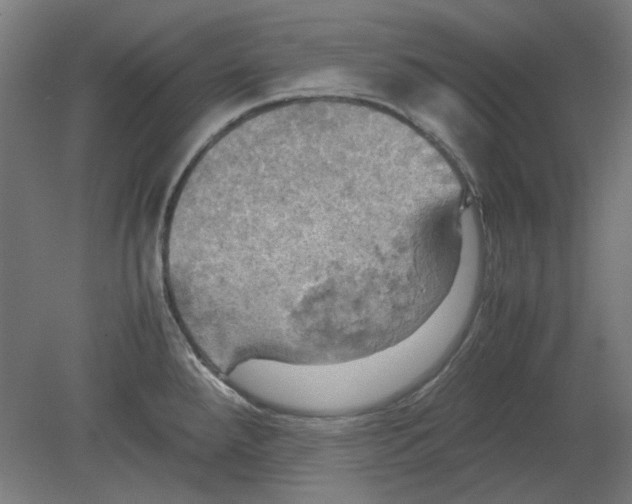 X0000080661288200701050933