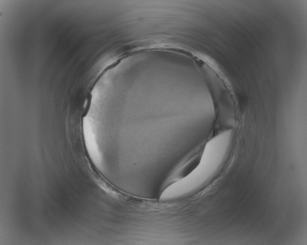 X0000080661289200701050933