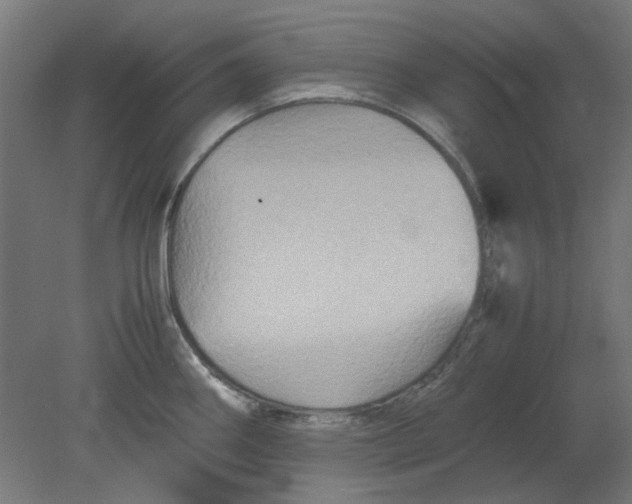 X0000080661290200701050933