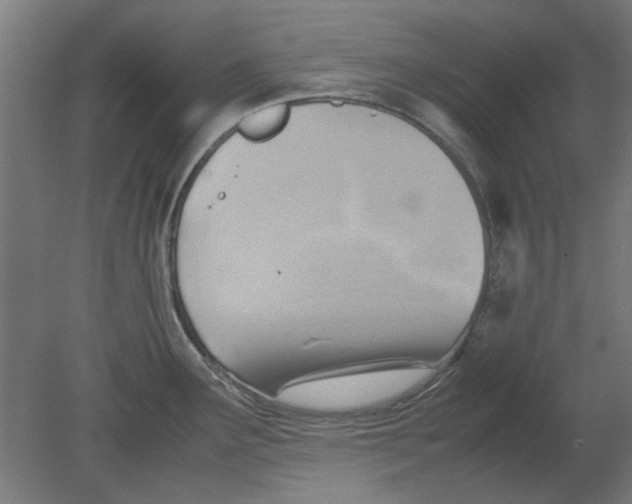 X0000080661291200701050933