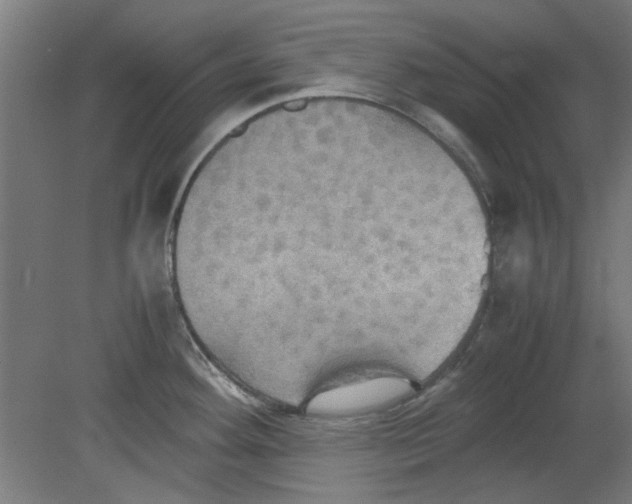 X0000080661292200701050933