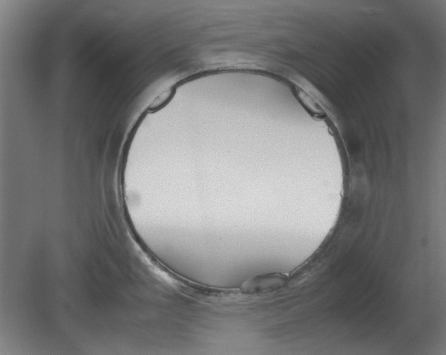 X0000080661293200701050933