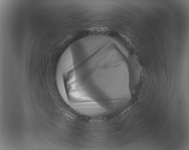 X0000080661297200701050932