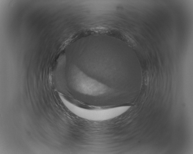 X0000080661298200701050932