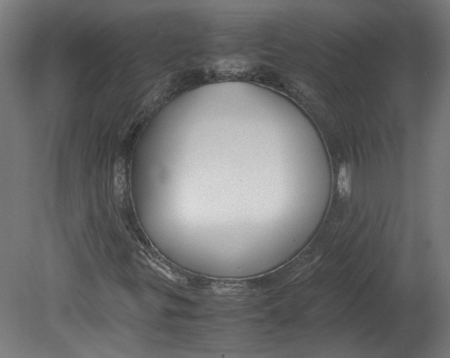 X0000080661299200701050932